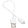 USB adapteris BlueLounge (EX-MC-W)