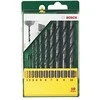 Grąžtas Bosch HSS-R Metal Drill Bit Set 10 pc(s)