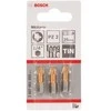 Bosch Suktuvo antgaliai Pz 2 3 vnt, MAXgrip