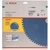 Bosch Disk.pjūkl.diskas Expert 254 x 30 x 2,4 mm, 60