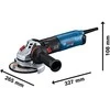 Bosch GWS 17-125 TS kartoninė dėžutė