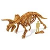 Tyrimų rinkinys, Triceratops, Buki DinoKit