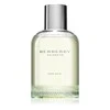 Burberry Weekend Men EDT tualetinis vanduo vyrams, 100 ml