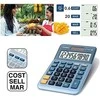 Casio MS-100EM