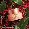 Clarins Stangrinamasis naktinis kremas nuo raukšlių Extra- Firming (Naktinis kremas) 50 ml