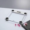 Clatronic PW 3368 Electronic Personal Scale (Transparent/Sidabrinis)