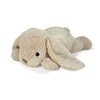 CLOUD B migdukas projektorius Dream Bunny
