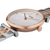 Laikrodis Watches CLUSE Watches CW0101208015
