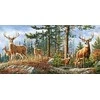 Castorland Dėlionė 4000 vnt. - Elnių šeima