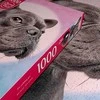Cherry Pazzi CherryPazzi dėlionė I’m watching you 1000 det.