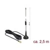 Delock Antenne LTE SMA St. 2dBi starr omni. Anschlusskabel RG-174 2,5m outdoor