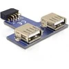 Delock USB į Pinheader adapteris su dviem prievadais