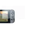 Ekrano apsauga DELTACO GAMING skirta Nintendo Switch / GAM-011