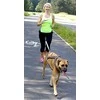 Dingo styga su amortizatoriaus juosta ir 2 šautuvai 170 cm - 14698