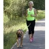 Dingo styga su amortizatoriaus juosta ir 2 šautuvai 170 cm - 14698