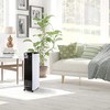 Drėkintuvas AIR COOLER/DO156A DOMO