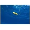 Povandeninins dronas Chasing Dory