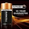 Duracell | Basic MN1300 D BL | D/R20