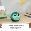 Amazon Echo Dot 5 Eulen Design