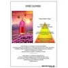 Montale Paris Sweet Flowers for Women (Kvepalai Moterims) EDP 100 ml
