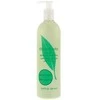 Kūno losjonas Elizabeth Arden Green Tea BLO 500ml 