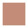 Embryolisse Artist Secret Compact Powder Bronzing Effect bronzinį efektą suteikianti pudra, 12 g