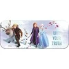 MARKWINS FROZEN kosmetikos rinkinys Triple Layer Beauty Tin, 1580155E