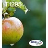 Epson Multipack 4-colours T1295 DURABrite Ultra | Ink Cartridge | Juodas, Cyan, Magenta, Geltona