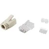 Equip Equip 121176 RJ-45 kištukas Skaidrus, baltas