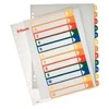 Plastikiniai spalvoti skiriamieji lapai ESSELTE, 1-12, A4, MAXI