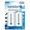 Akumuliatorius - Everactive R20/D Ni-MH 10 000 mAh