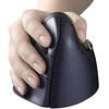Pelė Evoluent VerticalMouse 4 Wireless Right Hand