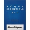 Salvatore Ferragamo Acqua Essenziale Blu EDT tualetinis vanduo vyrams, 100 ml