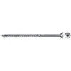 Fischer Medsraigčiai TORX 6,0x100, baltai cinkuoti, 100 vnt.
