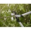 Fiskars PowerGear X sodo žirklės atraminiais ašmenimis LX99, L (1020189)