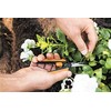 Fiskars kirpiklis Solid SP13