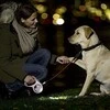 Flexi LED Lighting System žibintuvėlis tinkantis S, M ir L pavadėliams