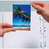Nuotraukų rėmelis HERMA 1302 lipni etiketė Balta Keičiama 100 vnt