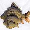 Gaby Žaislas EnergoFish Pillow Giant Carp 100cm