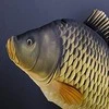 Gaby Žaislas EnergoFish Pillow Giant Carp 100cm