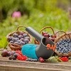 Gardena Combisytem Uogų rinktuvas