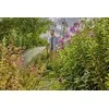 Gardena Tekstilinė žarna Liano™ Xtreme 19 mm (3/4"), 30 m