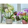 Purkštuvas Gardena 0,75L 9704769-01
