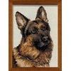 RIOLIS - Create It Yourself - Siuvinėjimo rinkinys „Vokiečių aviganis“ 1068 (24x30 cm)