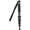 Gitzo monopod GM2562T Traveler