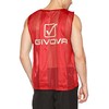 Givova Dydis S