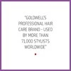 Goldwell Dualsenses Blondes Highlights Kondicionierius moterims, 1000 ml