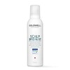 GOLDWELL Dualsenses Scalp Specialist putos Šampūnas 250ml NAUJA LINIJA