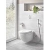 Pakabinamas klozetas be dangčio Grohe Euro Rimless 39328000