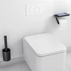Wc šepečio ir tualetinio popieriaus laikiklio komplektas Hansgrohe WallStoris 27969670, juodas matin
